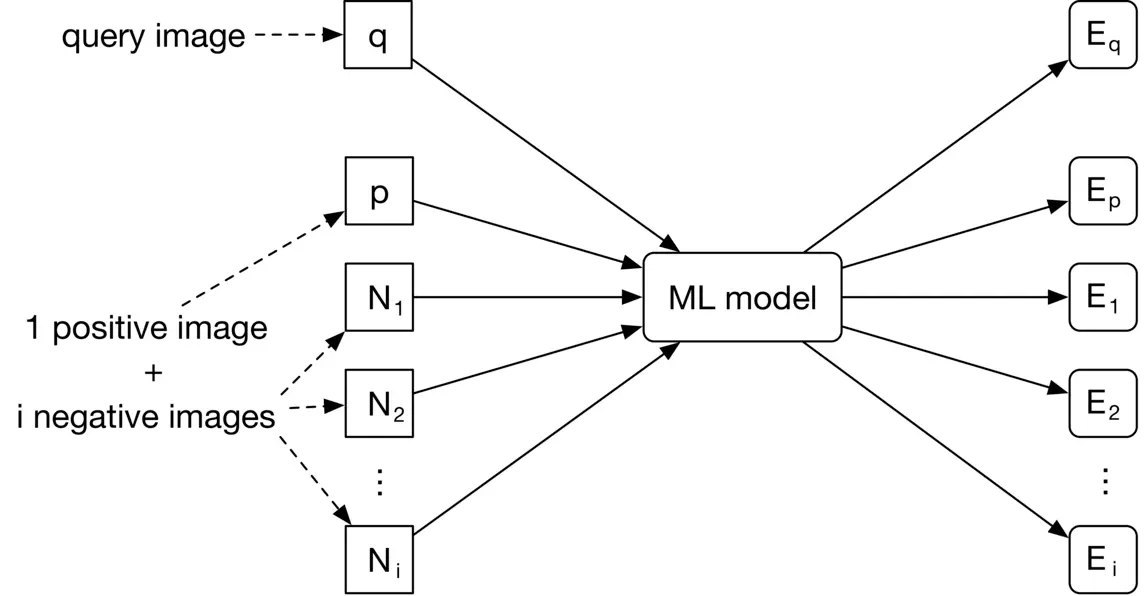 Image 9: Image represents a machine learning model training and inference pipeline for image similarity. A query image, labeled 'q', is input along with a set of images: one positive image ('p') and 'i' negative images (N₁, N₂, ..., Nᵢ). These images are fed into an 'ML model', which processes them. The model's output consists of embedding vectors: Eq (embedding for the query image), Ep (embedding for the positive image), and E₁, E₂, ..., Eᵢ (embeddings for the negative images). The dashed lines indicate that the positive and negative images are used for training the model, while the solid lines show the flow of data during inference. The 'ML model' learns to generate embeddings such that similar images have closer embedding vectors in the embedding space.
